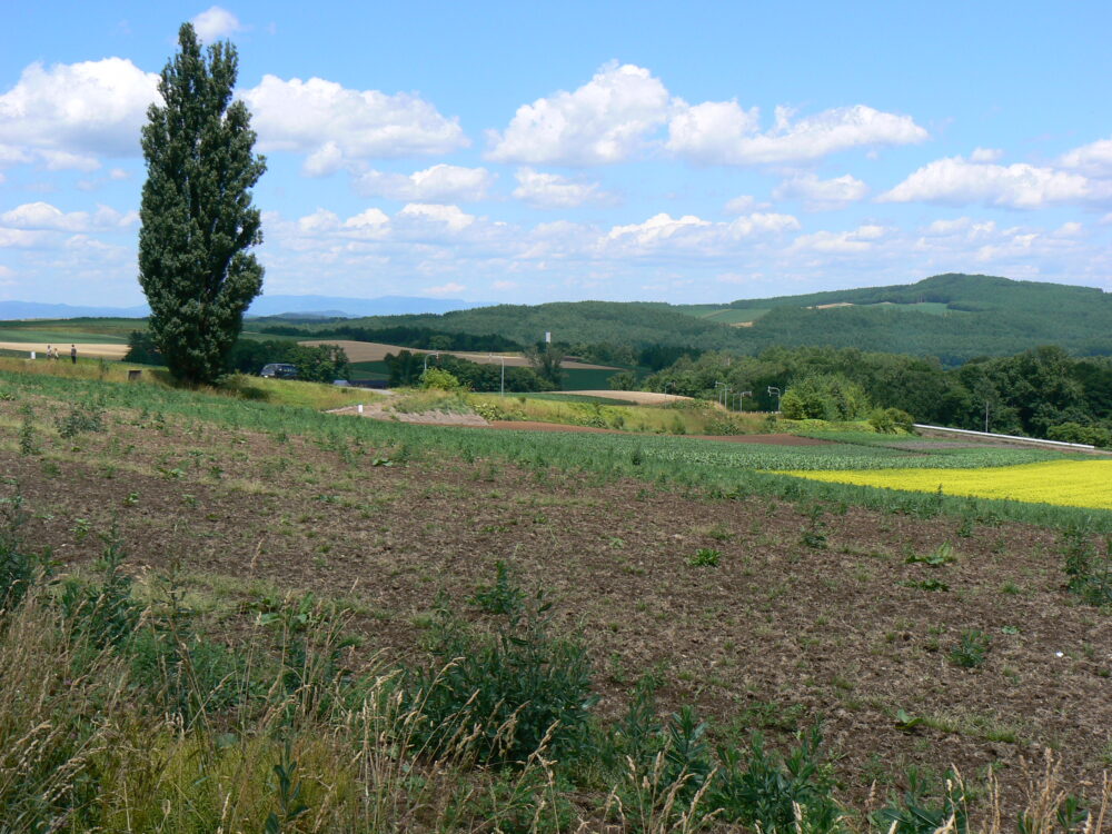 hokkaido